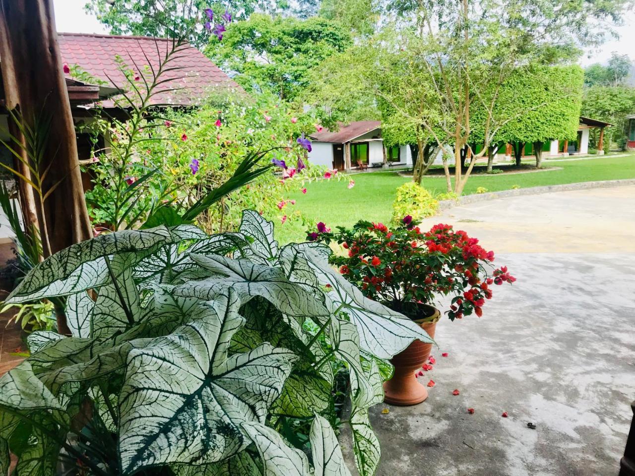 Hosteria Tierra Dorada Yantzaza Екстериор снимка
